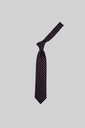 MARCO LARIANI Tie 16122024137
