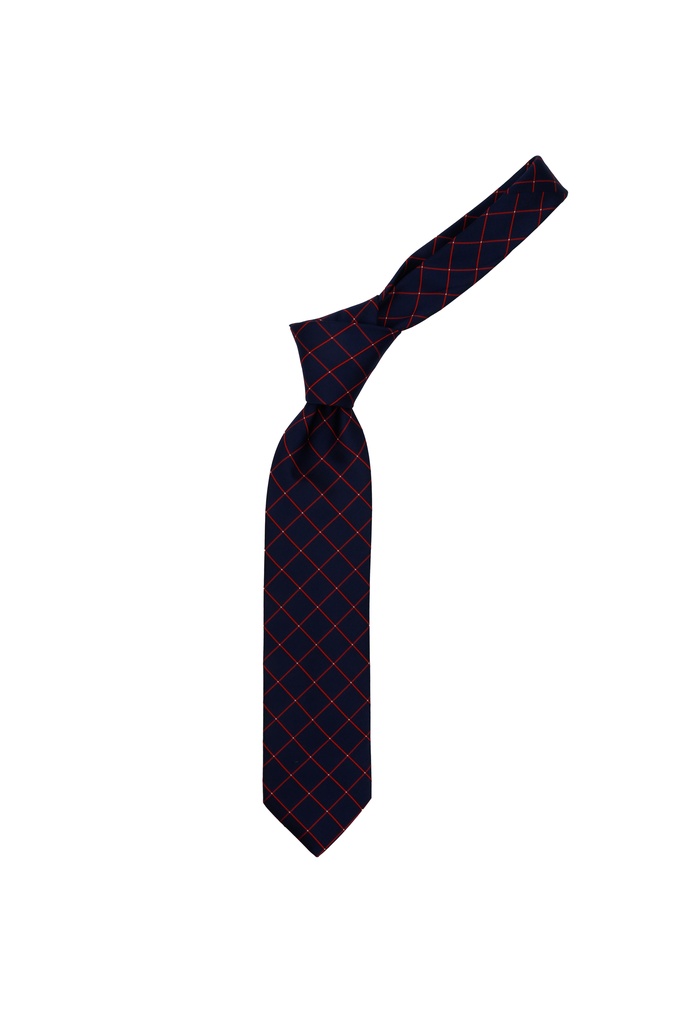 DUK TIE D-053