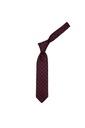 LAPESCARA TIE T11-409