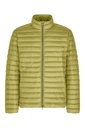 GEOX Jacket M3625G WARRENS SHORT W-23