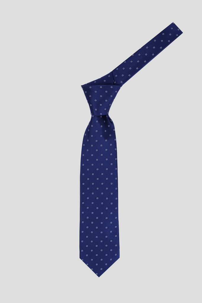 CACHAREL Tie 10-0014 S-24