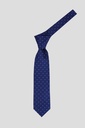 CACHAREL Tie 10-0014 S-24