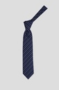 CACHAREL Tie 10-0037 S-24