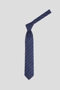 CACHAREL Tie 10-0009