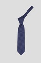 CACHAREL Tie 10-0075 S-24