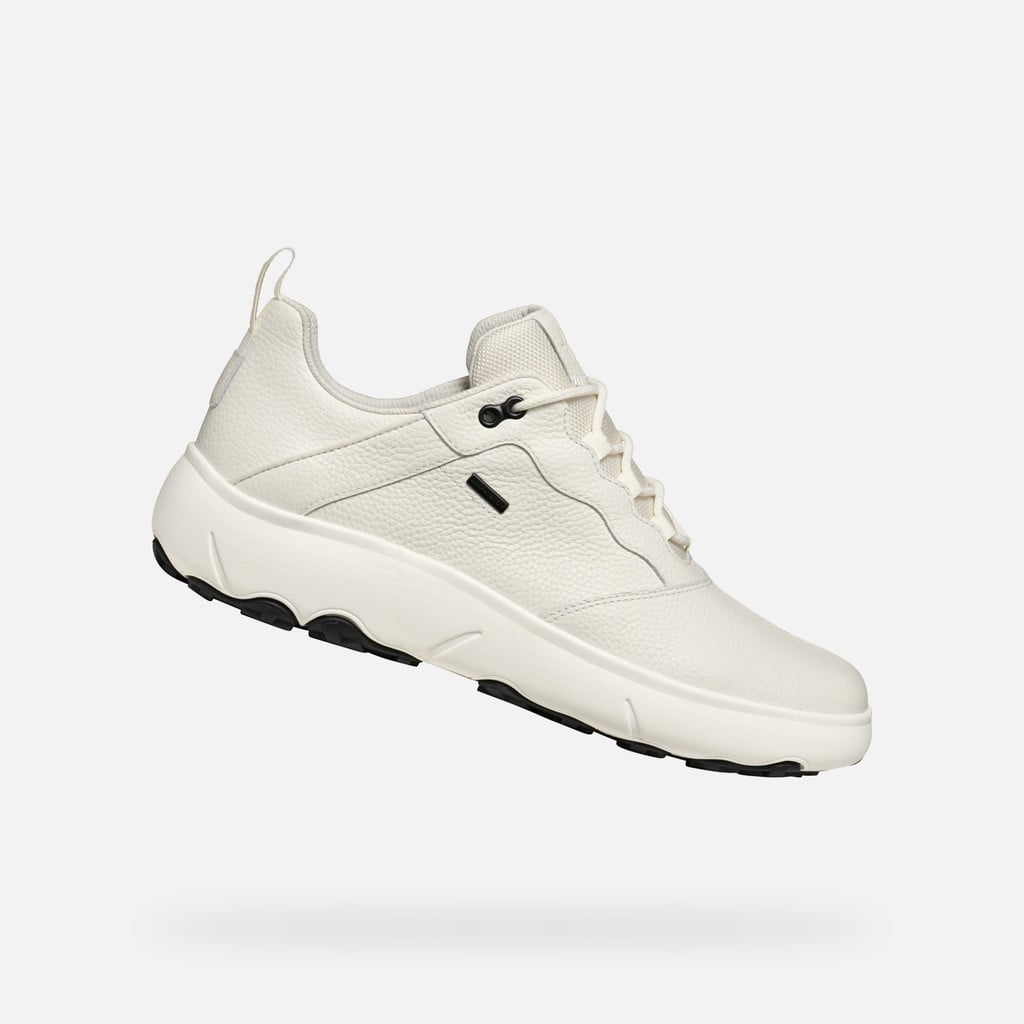 GEOX Shoes U46HFA NEBULA (39, C1000)