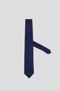 CACHAREL Tie T11-026 navy red roses