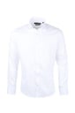 PAVAROTTI Shirt MASSINA 554/1 SLIM
