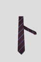 GIORGIO MARIANI Tie 10-10124