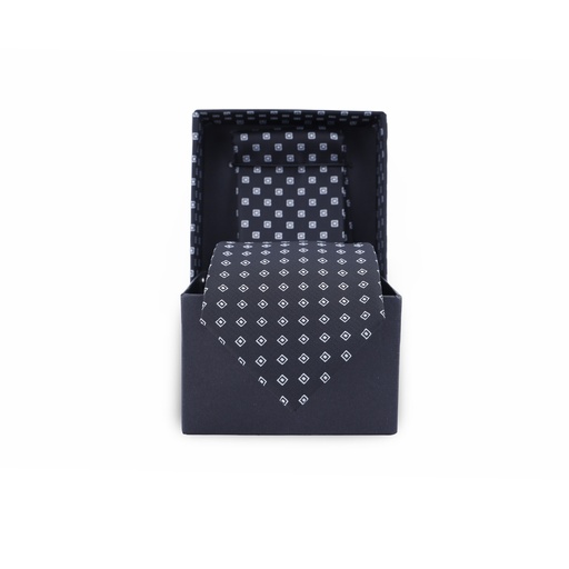GENNY TIE&handkerchief 2010 W-24