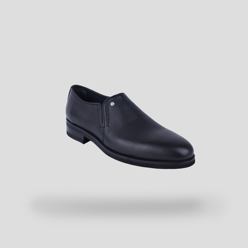TESLA Shoes 4096