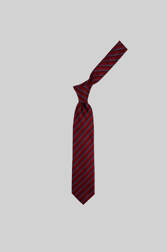 MARCO LARIANI Tie 16122024106