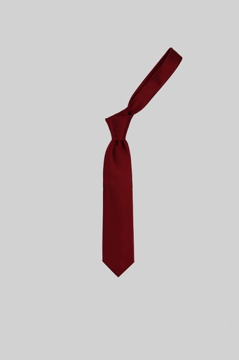 MARCO LARIANI Tie 16122024110