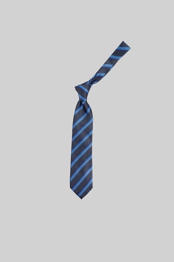 MARCO LARIANI Tie 16122024111
