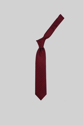 MARCO LARIANI Tie 16122024114