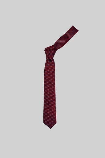 MARCO LARIANI Tie 16122024119
