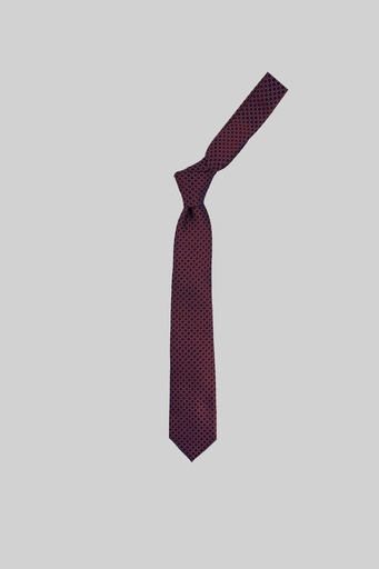 MARCO LARIANI Tie 16122024120