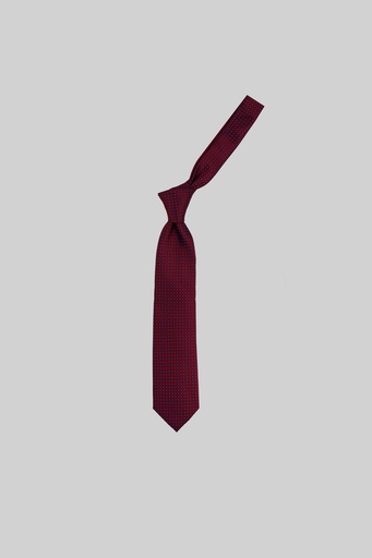 MARCO LARIANI Tie 16122024131
